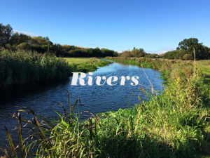 A view of Grand Union Canal – Hemel Hempstead Stretch