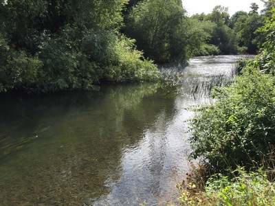 Aqueduct Fishery