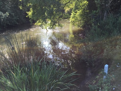 Aqueduct Fishery