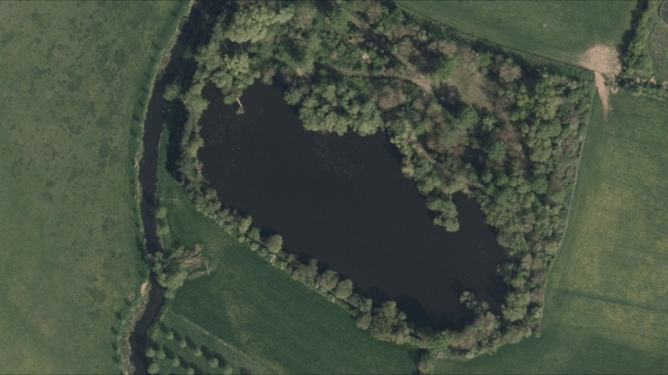Bures Lake, from the fishery's own website