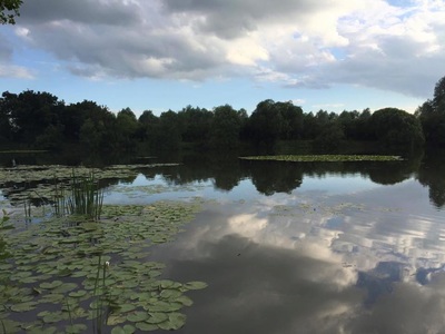 Bures Lake 2