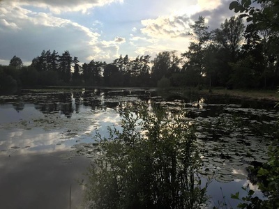 Bures Lake 3