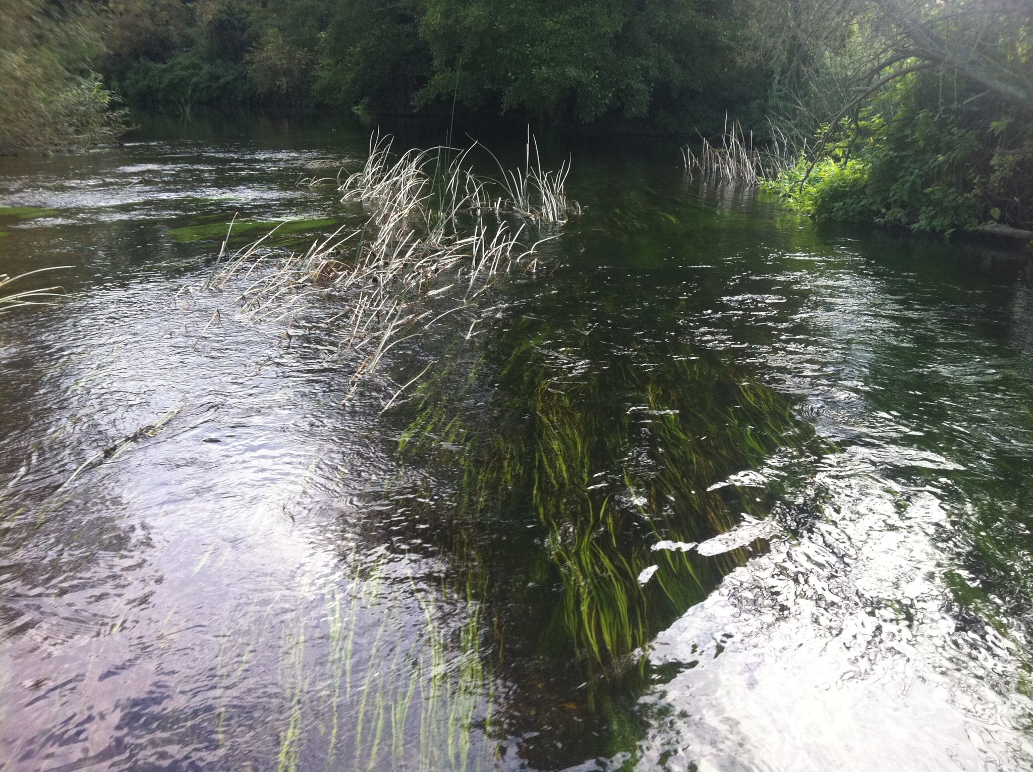 A view of River Great Ouse